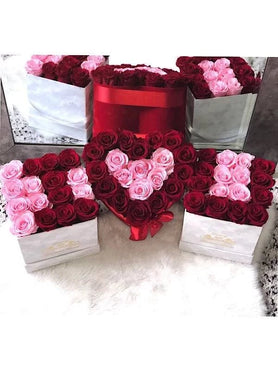 red and pink roses