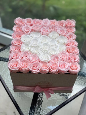 pink and white roses