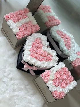 pink and white roses