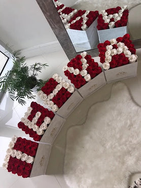 red and white roses