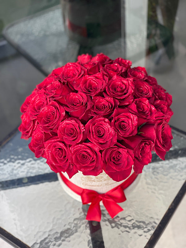 The Most Beautiful Flowers in Miami for Mother’s Day 2025