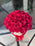 The Most Beautiful Flowers in Miami for Mother’s Day