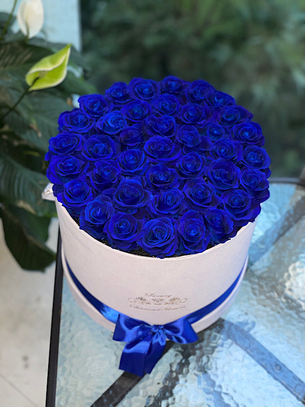 Introducing Our New Forever Roses Collection – Luxury Preserved Flowers in Miami