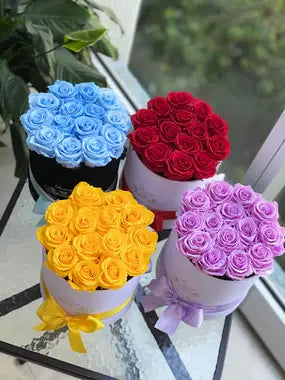 Valentine’s Day Flower Meanings – What Each Rose Color Symbolizes