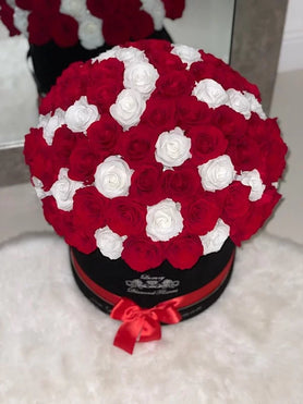red and white 100 preserved roses