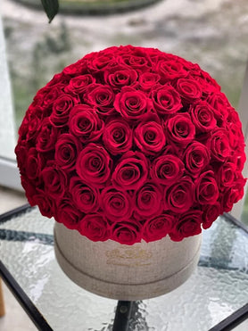 red preserved roses