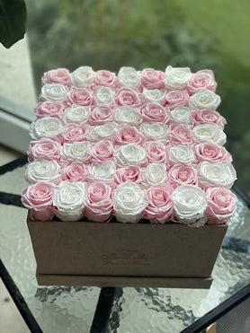 pink and white roses