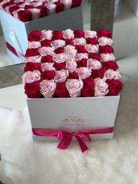 red and pink roses