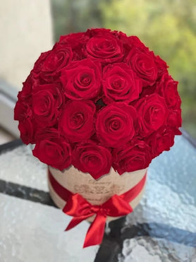 Miami red roses