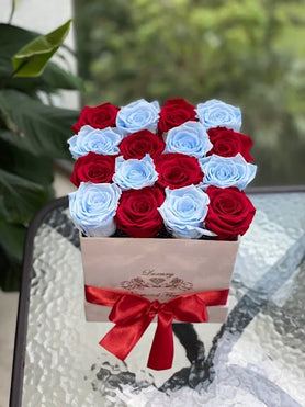 blue and red Palm Beach mix roses 