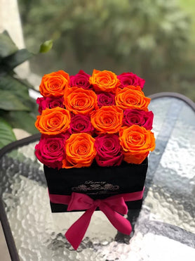 Palm Beach Mix roses Black box