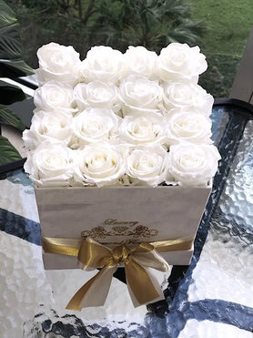 white roses