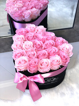 love roses