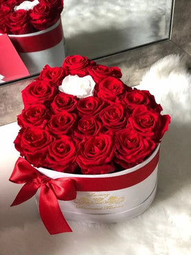 white and red roses, white rose, preserved roses