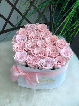 pink roses