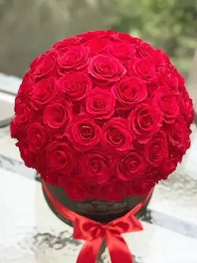 Fisher Island 50 red roses