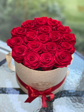 New York Red roses