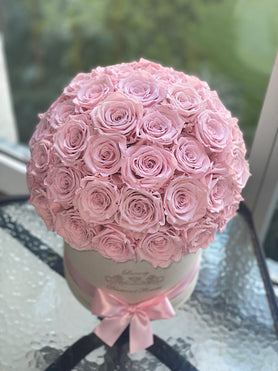 pink roses