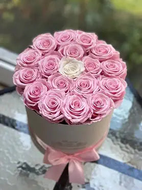 New York Pointed forever rose
